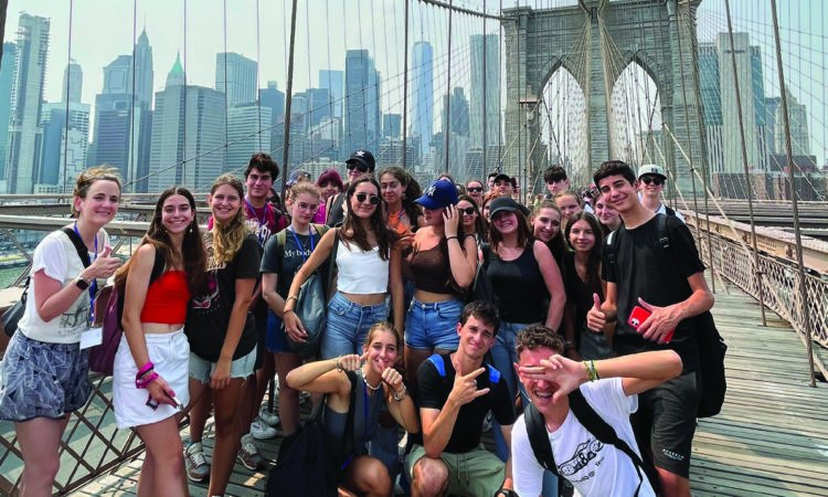 Excellence Linguistique