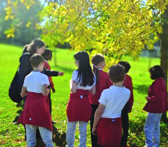 Trillium International School : l’éducation bilingue en confiance