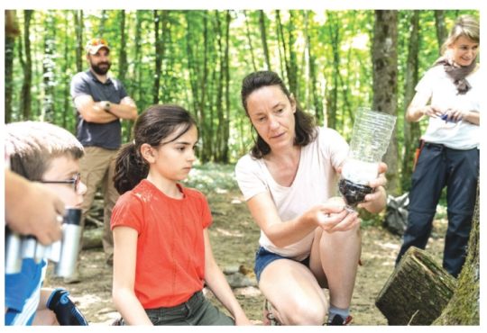 Avec Fox Survie, le week-end change de dimension.