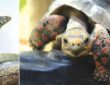 Reptiland - L’aventure qui fait vibrer les enfants