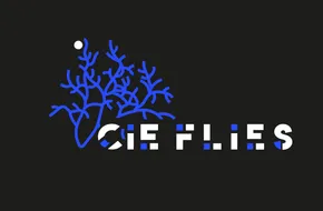 COMPAGNI FLIES CIEFLIES